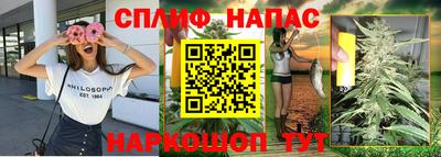 МДПВ Краснознаменск