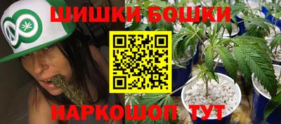 МДПВ Краснознаменск
