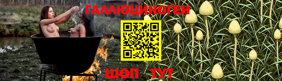 Псилоцибиновые грибы Cubensis  Галлюциногенные грибы Magic Shrooms  купить наркотики сайты  Вход с VPN  Киселёвск 